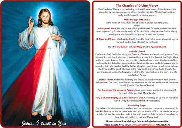 The Miraculous Medal